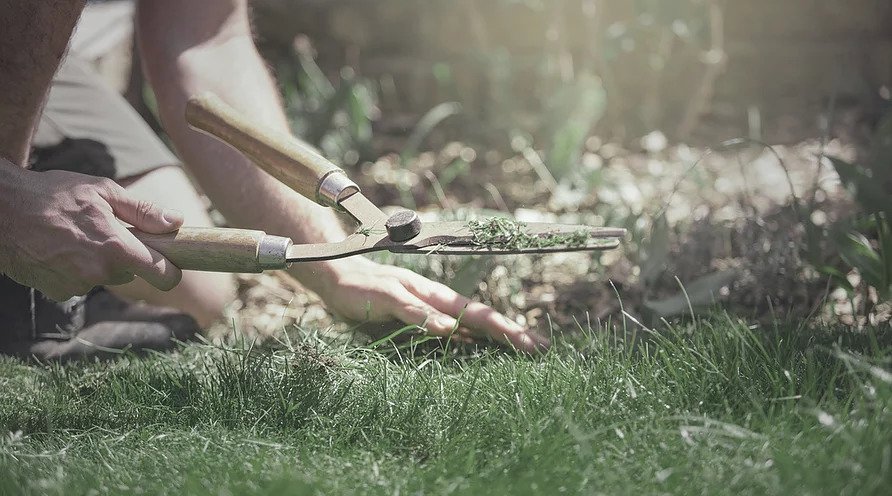 ezgif-3-e9bdc69ea1e6